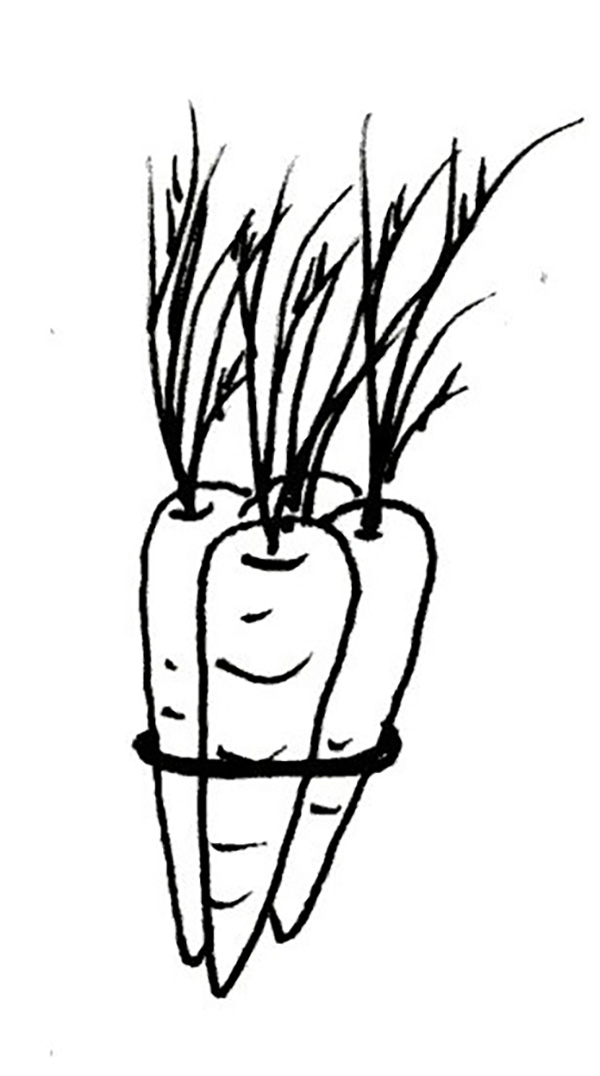 A black and white sketch outlines four carrots being held together by a rubber band.