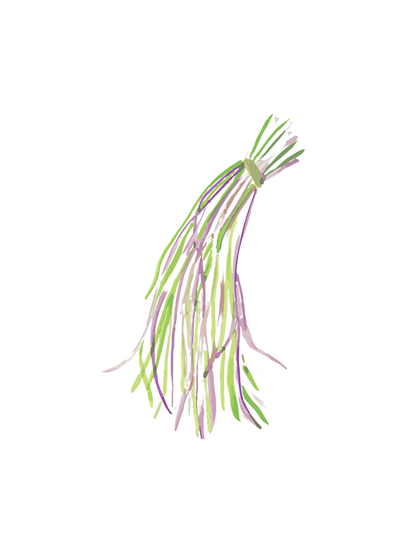 A purple and green graphic with a transparent background shows a bunch of long beans hanging downward and held together by a rubber band.