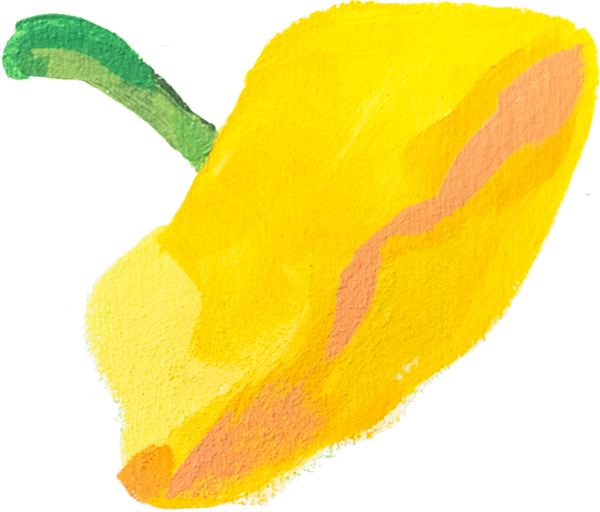 A yellow orange pattypan squash, a flattened bumpy variety. The stem is attatched.