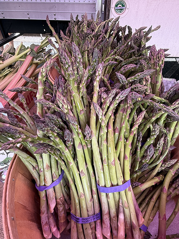 Asparagus Bunches at Farmers Market