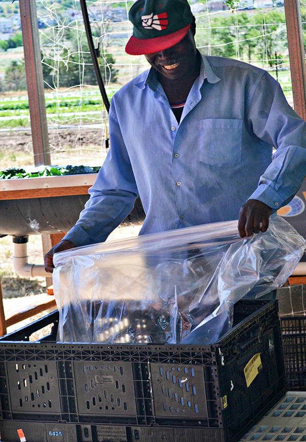 Adding a plastic liner to a packing crate