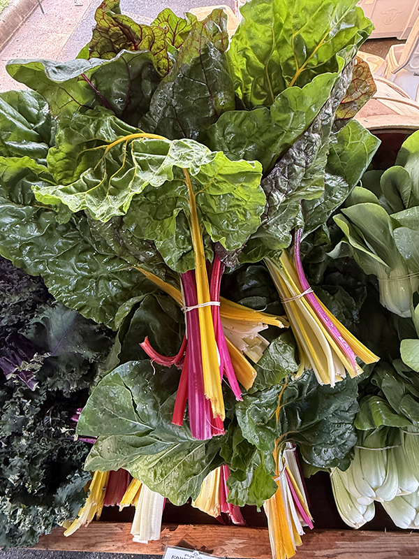 Swiss Chard Bright Lights Bunched at Market