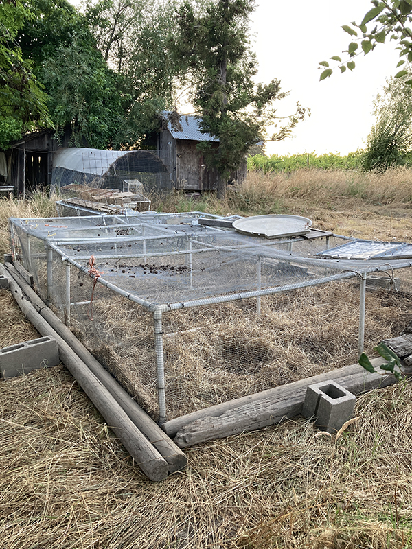 Movable Chicken Run Full Protection Wire Structure