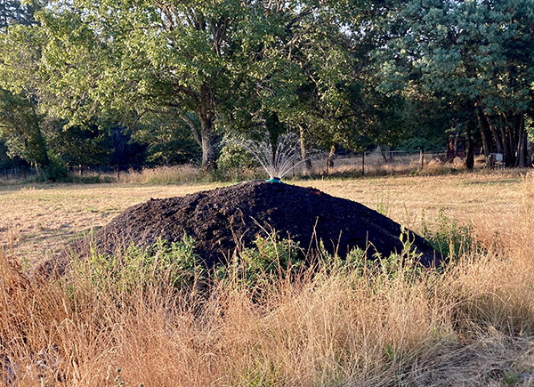 Sprinkler keeping Compost Pile Moist