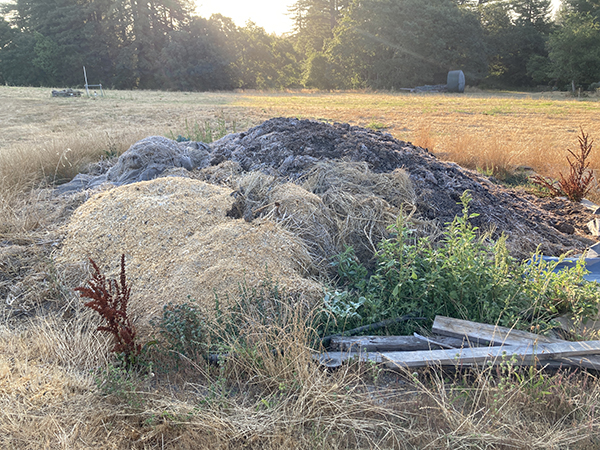 Ingredients for Compost Pile Waiting to be Mixed