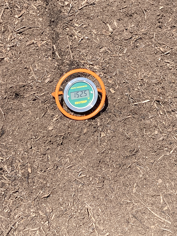 Compost Thermometer in Compost Pile with Temperature