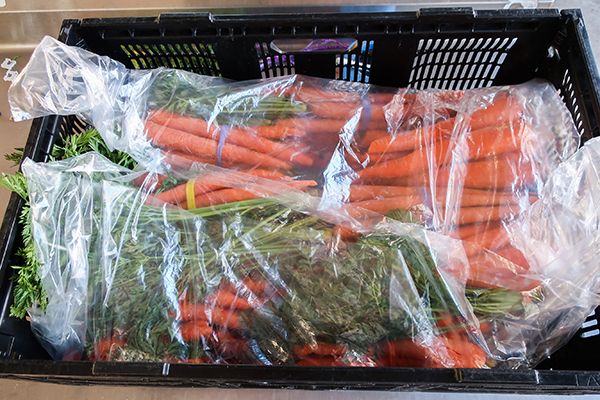 Carrot bunches in crate with plastic liner