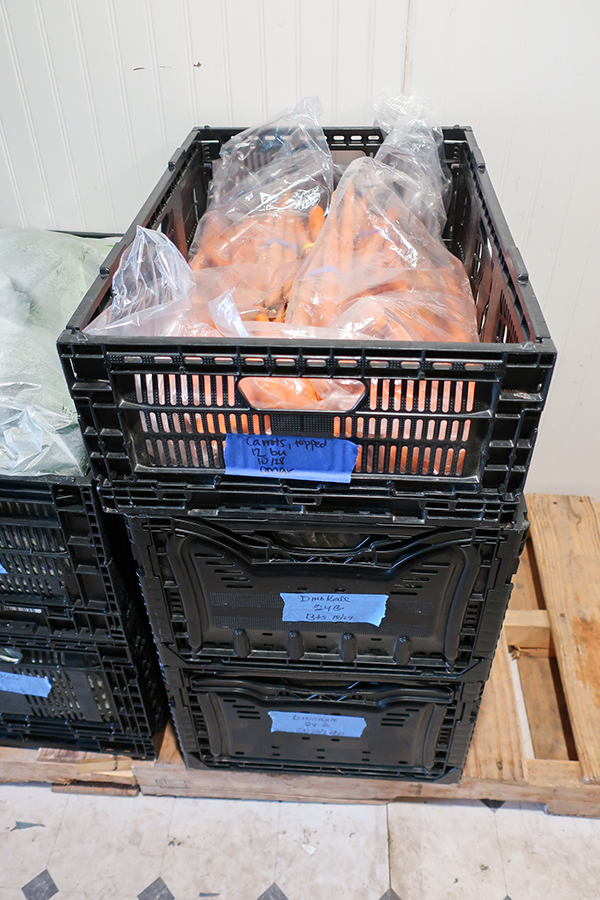 Carrots in crates, ready for storage.