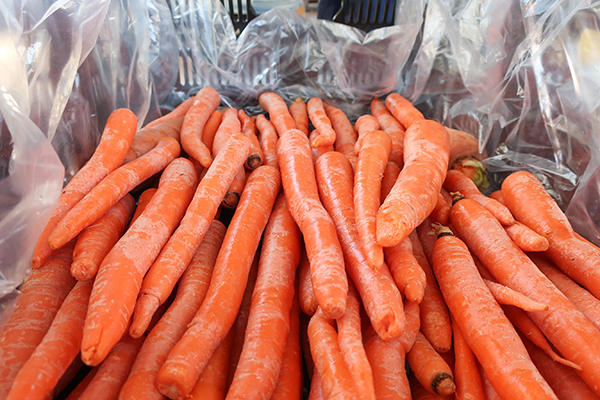 Carrots in packing crate.