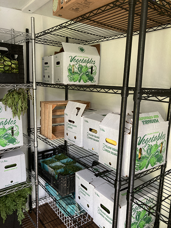 Cooler Shelves with Produce Boxes Food Safety Clean