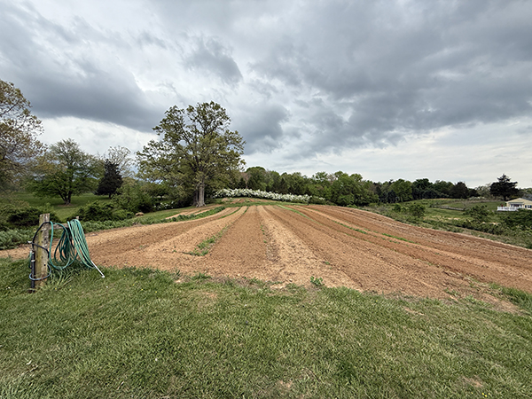 Tilled Farm Field in Spring
