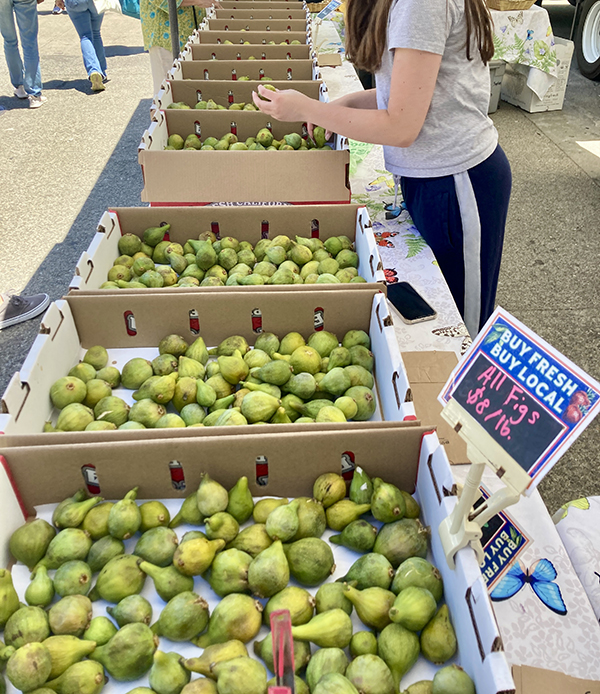 Figs for Sale at Farmers Market