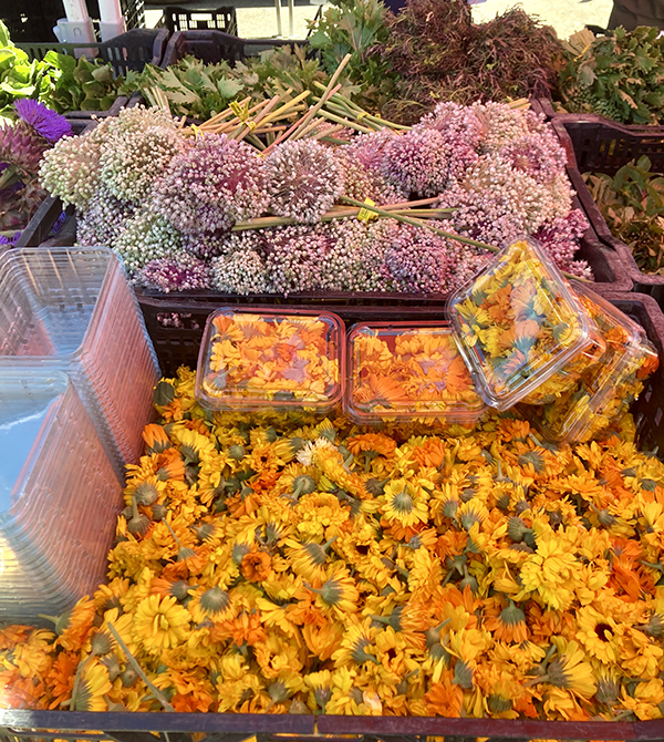 Calendula Edible Flowers for Sale at Farmers Market