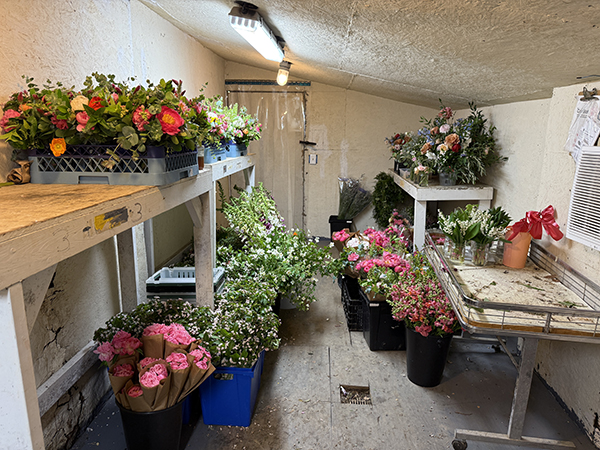 Flower Cooler Full of Cut Flowers Ready for Market