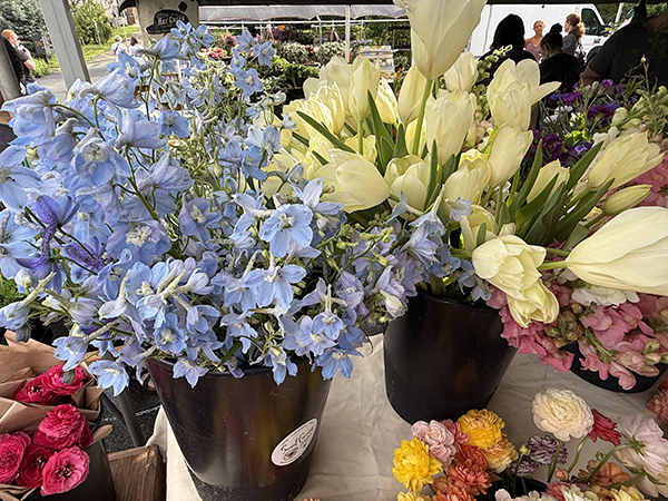 Delphinium Flowers and Tulips in buckets at Market