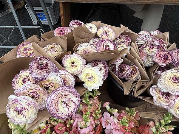 Ranunculus Flowers at Market