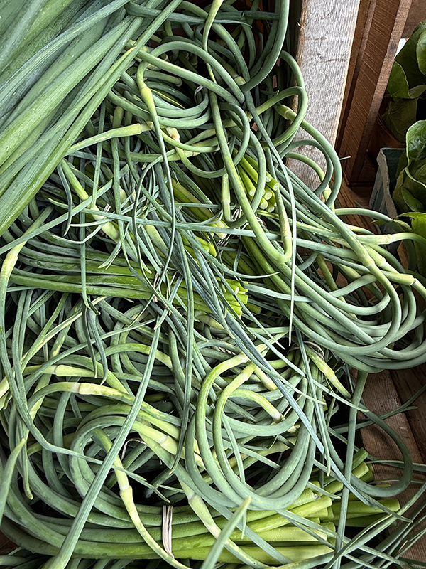 Garlic Scapes at Farmers Market in Spring