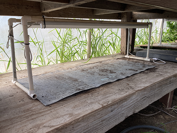 Greenhouse Setup LED Light Stands and Heat Mats for Seedling Production