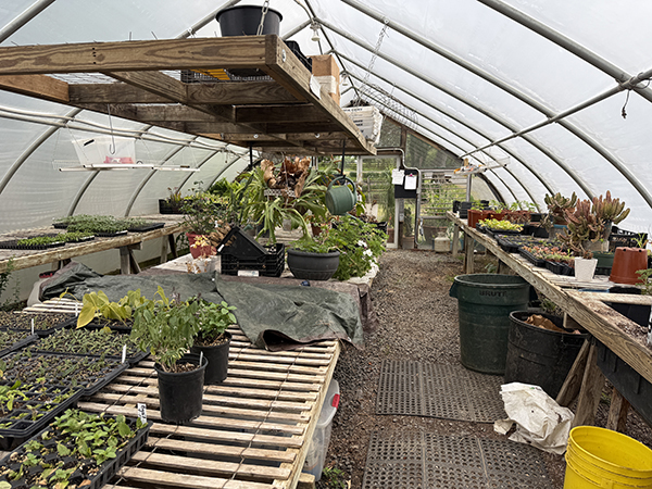 Greenhouse Propagation Tables and Hanging Shelf