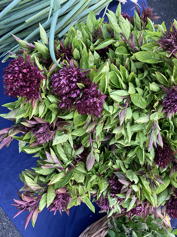 Fresh Thai Basil Bunches at Market