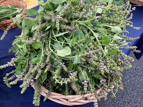 Fresh Tulsi Holy Basil Bunches at Market