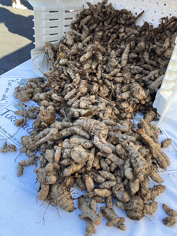 Fresh Turmeric Roots at Farmers Market