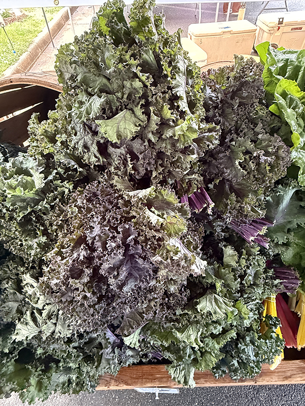 Curly Kale in Bunches at Market
