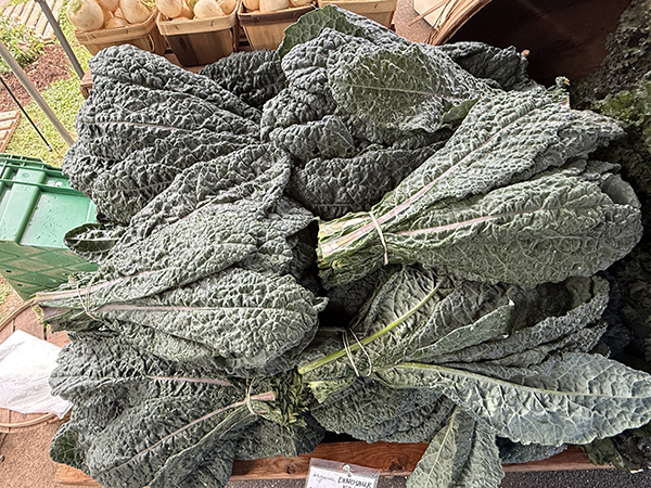 Dinosaur Kale Bunches at Market