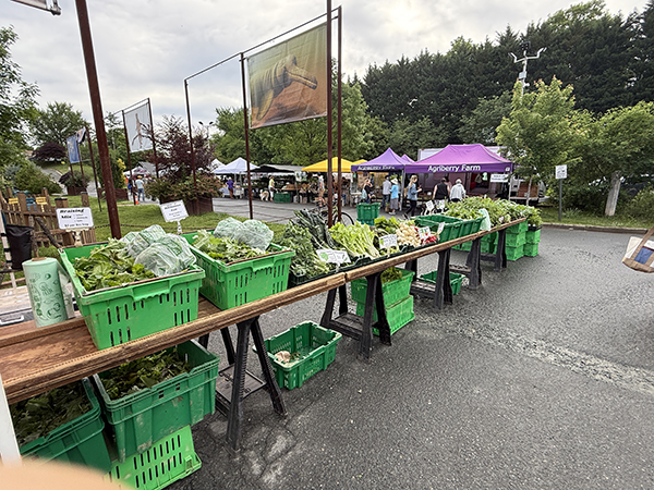 Long Sawhorse Table Display at Farmers Market