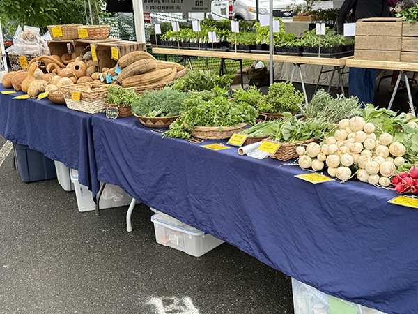 Farmers Market Display Tables