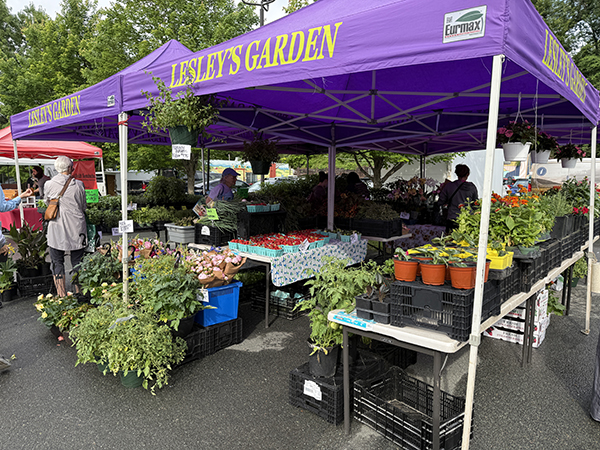 Double Wide Booth Display at Farmers Market