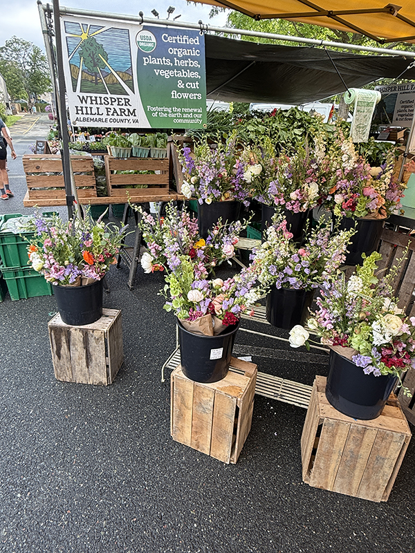 Flower Bouquet Display at Farmers Market