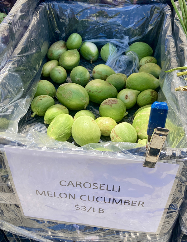 Cucumber-Melon Caroselli at Farmers Market