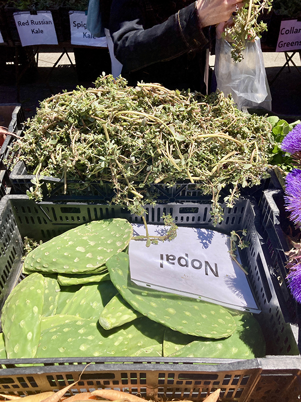 Nopal Cactus and Purslane Greens for Sale at Farmers Market