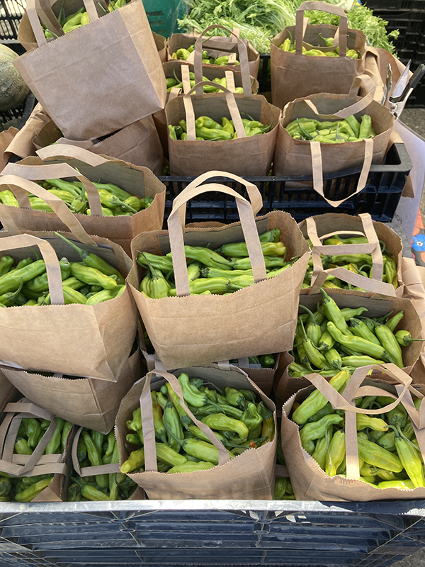 Shishito Peppers Bagged for Sale at Farmers Market