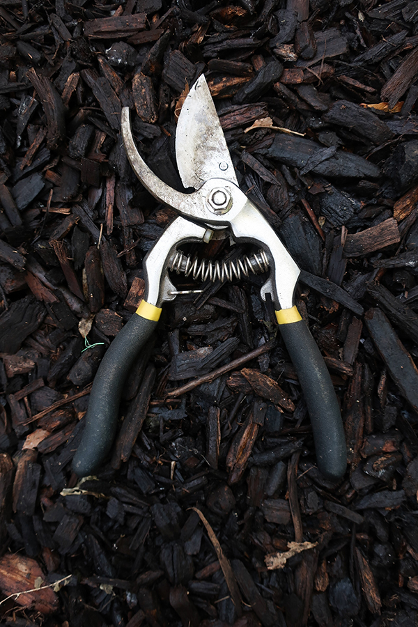 Pruners