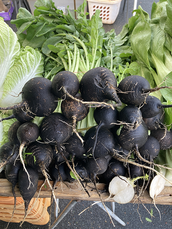 Black Spanish Radishes Nero Tondo at Market