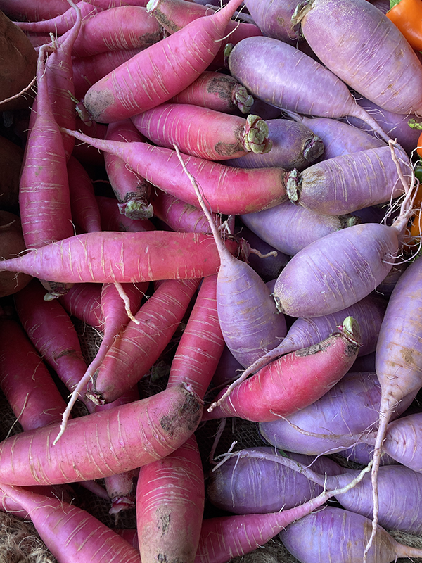 Daikon Radishes Red and Purple at Market
