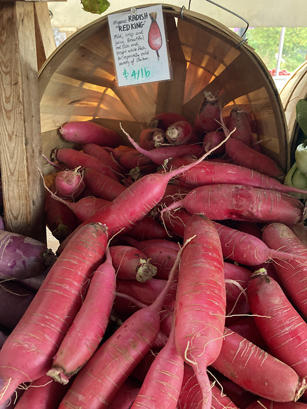 Daikon Radishes Red King at Market