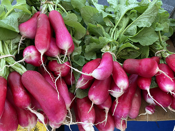 French Breakfast Radishes at the Farmers Market