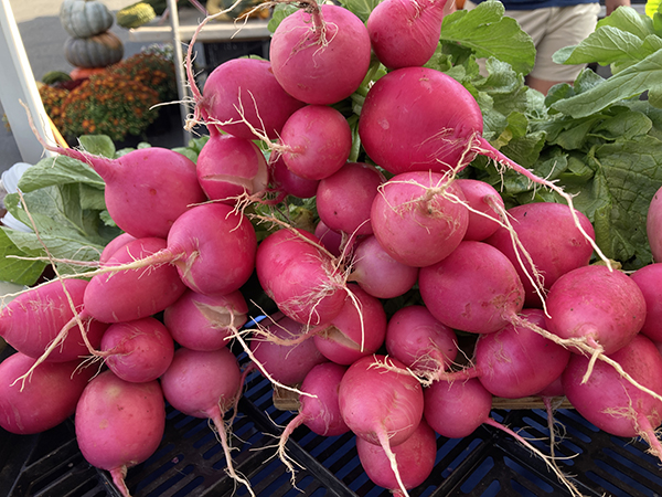 Pink Round Radishes at Market