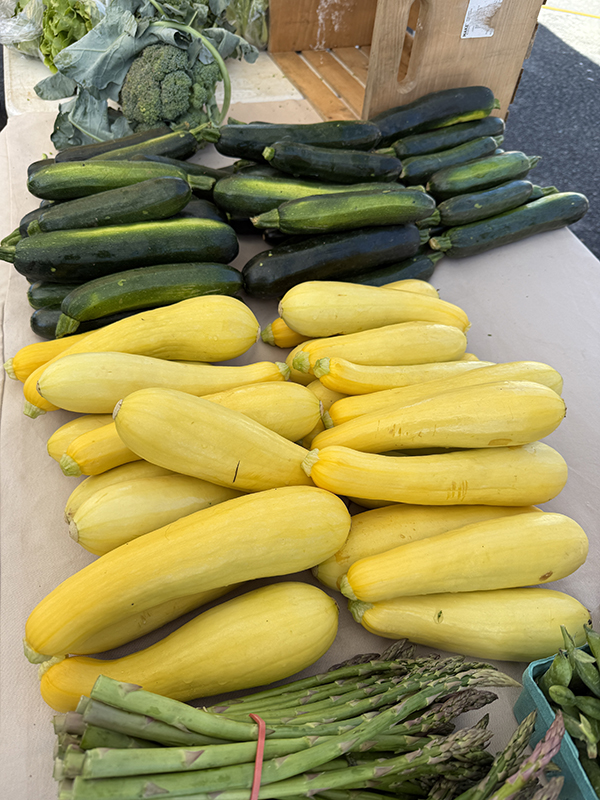 Zucchini and Yellow Straightneck Summer Squash at Market