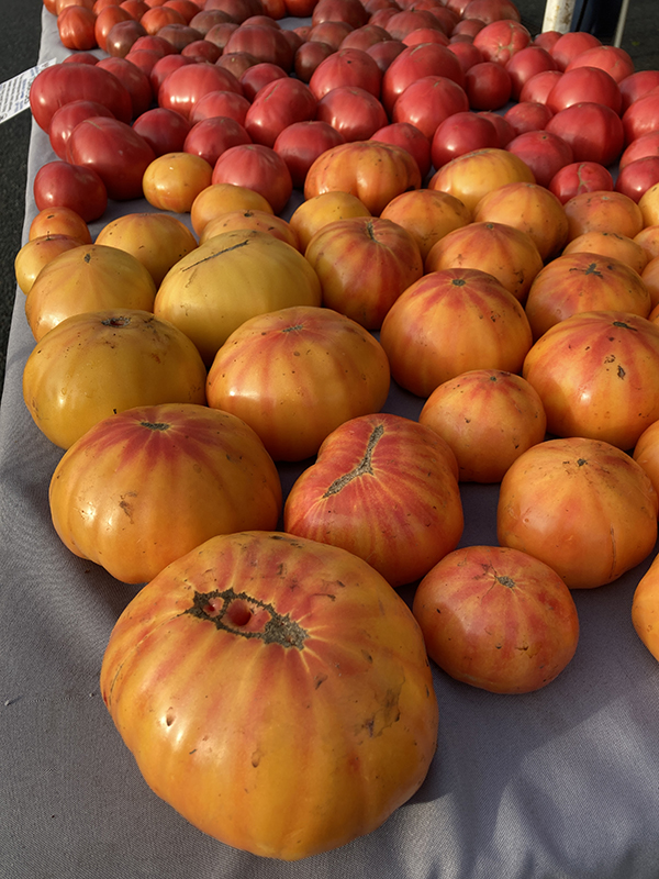 Heirloom Tomatoes on Display at Farmers Market