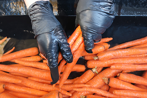 Washing carrots