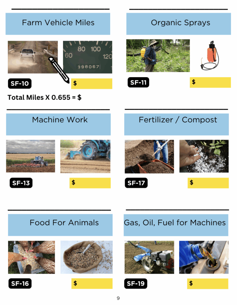 Farm Projections and Budgeting preview image showing one of the pages of the guidebook