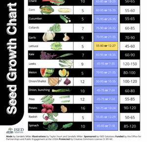 Direct seed to harvest timeline poster preview image.