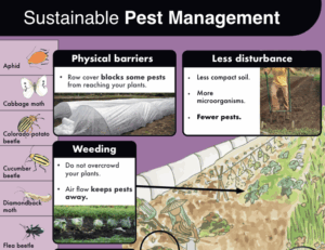 Sustainable pest management poster preview image, showing a crop of the poster.