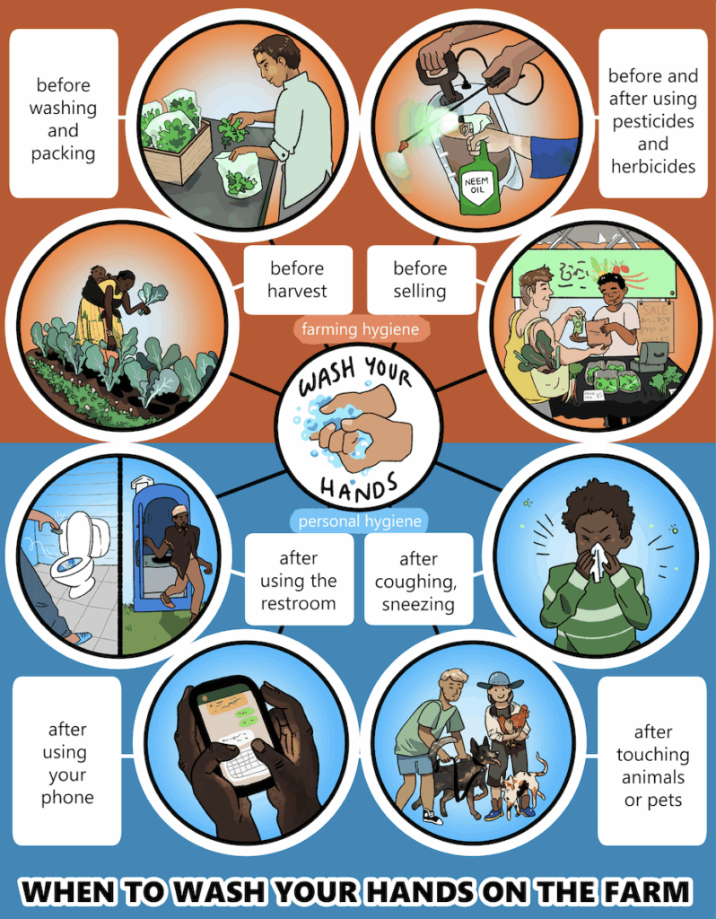 When to Wash your hands preview image, showing the poster, which educates farmers on handwashing safety.